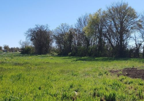 temps pour choisir son terrain a batir